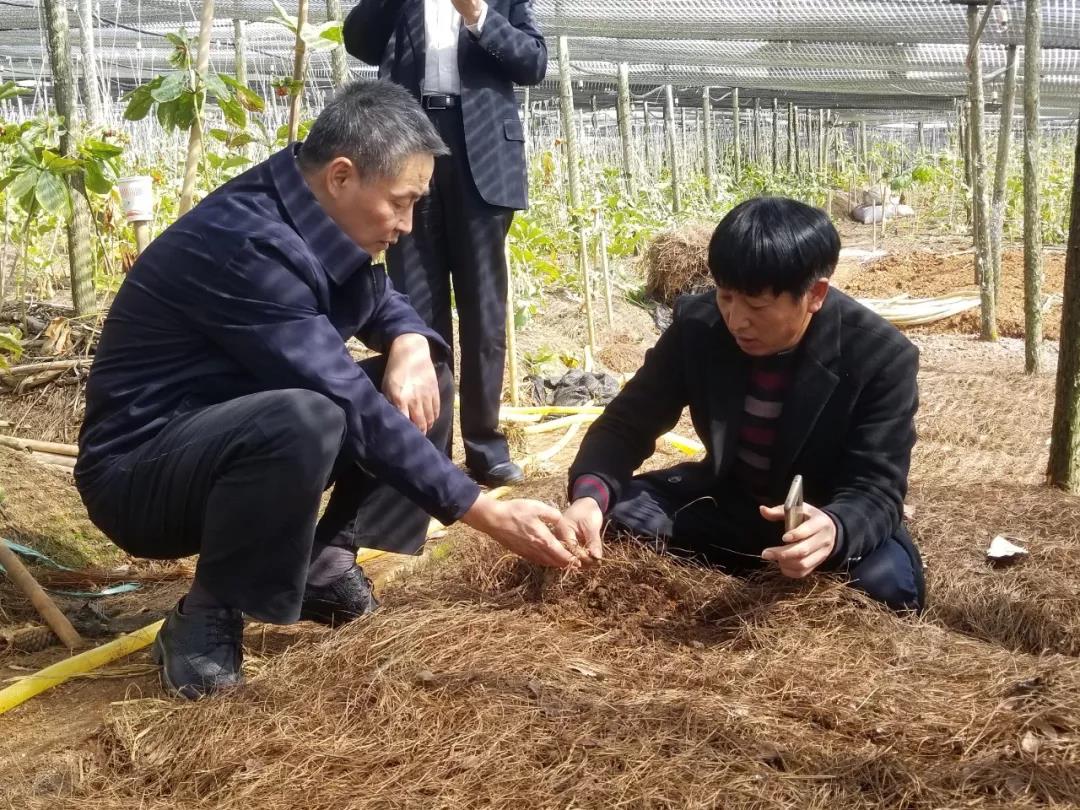 首页-BBIN宝盈集团官方网站