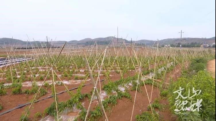 首页-BBIN宝盈集团官方网站